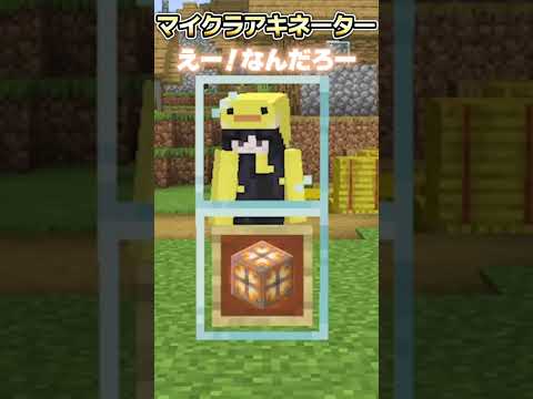 【新ブロック】1分で当てる！マイクラアキネータークイズ 上級編