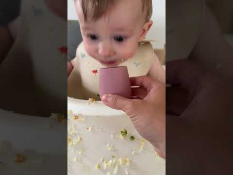 Tofu Taste Test: My 8-Month-Old’s First Adventure with Soy!