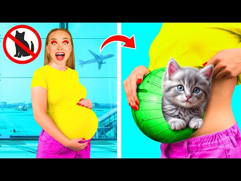 Sneak Pets Into The Plane | Funny Moments by TeenTeam Challenge