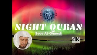 Saad al-Ghamdi - NIGHT QURAN w/ DUA | Surah Mulk, Waqiyah, Sajdah..!