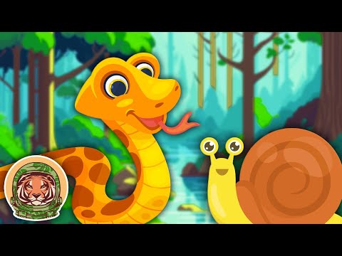 Learn About Animals That Crawl! | Animal Songs For Kids | KLT WILD