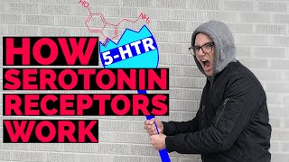 Serotonin Receptors | Types of Serotonin Receptors and Serotonin Receptor Pharmacology