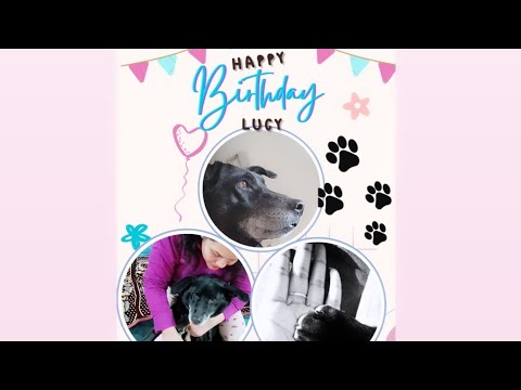 Thank God for Dogs | Lucy birthday #vlog#ytviral #doglover #dogs #dogmom#mydog #ytviral#explorepage