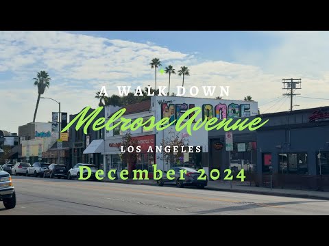 Melrose Avenue Walk | Los Angeles | 2025