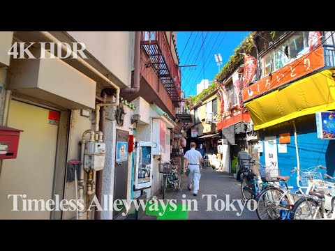 Timeless Alleyways in Tokyo : A Peaceful Autumn Walk | Japan | 4K/HDR with Google Maps and subtitles