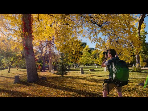 Finding Scenes in a City Cemetery