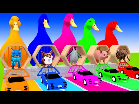 5 Giant Duck, Monkey, Piglet, chicken, dog, mammoth,tiger, Sheep, Transfiguration funny animal 2023