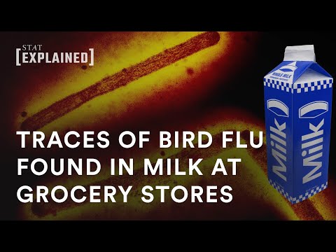 Evidence of H5N1 bird flu found in grocery milk