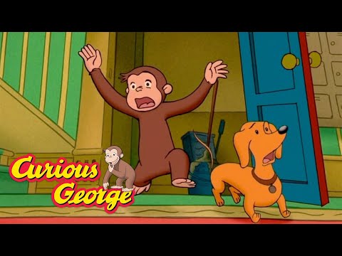 George and the Spooky Basement!  🐵 Curious George 🐵 Kids Cartoon 🐵 Kids Movies