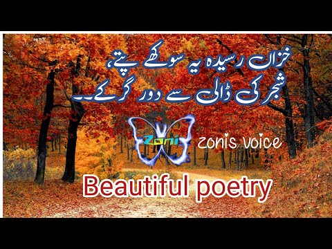 autumn poetry in Urdu |#poetrylovers  #شاعری