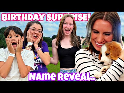 Name Reveal | Special Birthday Surprise!