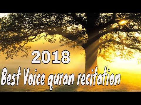 beautiful quran recitation emotional crying l تلاوة القرآن بصوت جميل