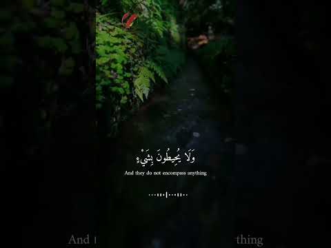 اللَّهُ لَا إِلَهَ إِلَّا هُوَ الْحَيُّ الْقَيُّومُ#اية_الكرسي #القارئ #اسلام_صبحي