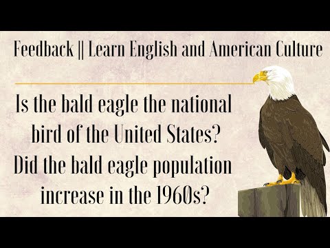 16.🔥Feedback || The Bald Eagle Why Is It America’s Symbol🔥|| Learn English Through American culture