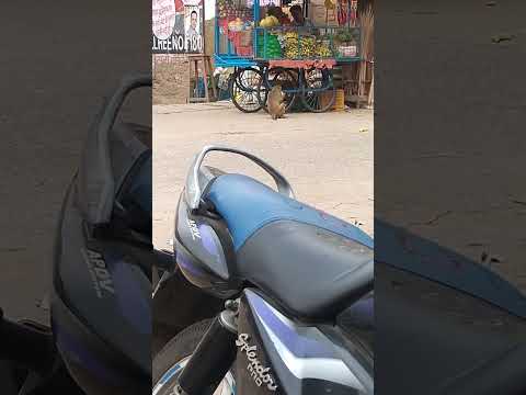 नटखट बन्दर #viral Video #like #subscribe 😂