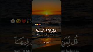 Beautiful🌼😘💓 Quran recitations shorts voice is amazing #explore #arabic #cover #shortsvideo