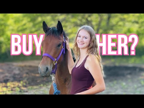 I FOUND MY DREAM HORSE | Did I Buy Her?