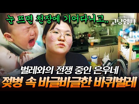 벌레와의 전쟁 중인 은우네에 기겁하는 MC들🤢 은우의 젖병 속을 기어다니는 바선생?!｜#다시보는고딩엄빠