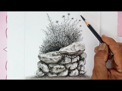 How to draw plants, bushes and stones fence by pencil.