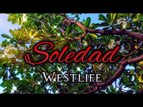 SOLEDAD - Westlife / with Lyrics