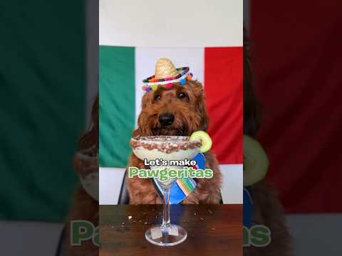 Happy Cinco de Mayo motherpuppers! 🇲🇽🍹🐾 #dogs #dogmargerita #cincodemayo #pupcup #dogtreat