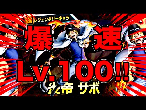 新超フェス炎帝サボ神引きしたらんかい‼️爆速Lv.100‼️【バウンティラッシュ】