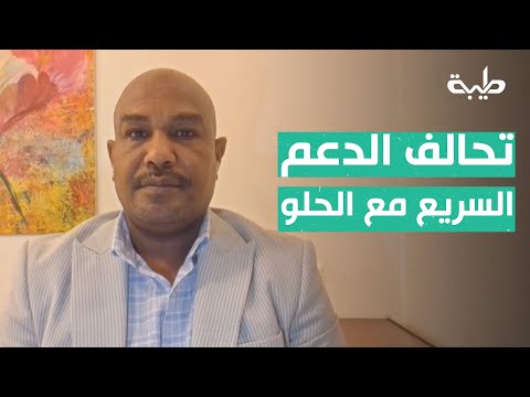 عامر حسن يوضح الأسباب الرئيسية وراء تحالف الدعم السريع مع حركة الحلو