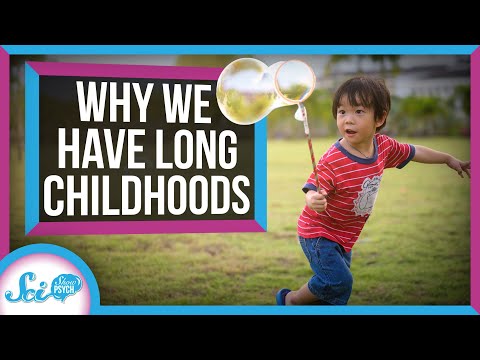 Why Do We Have Such Long Childhoods?