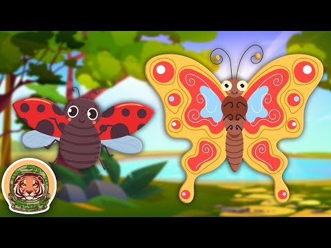 Learn About The Most Popular Bugs! | Animal Songs For Kids | KLT Wild