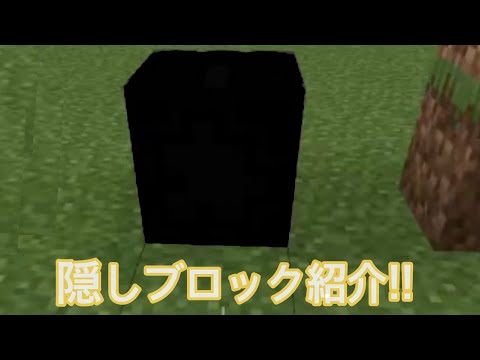 隠しブロック紹介!!【マイクラ】【コマンド】【隠しブロック】