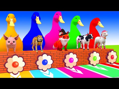 5 Giant Duck Cartoon, Fountain Crossing With Cow Elephant Buffalo Lion T-Rex 3d Animal Game Video