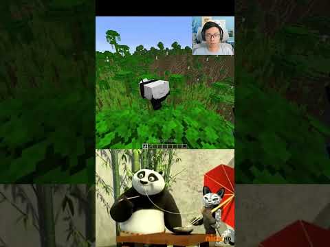 Minecraft Panda Moment