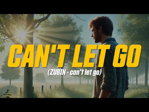 ZUBIN - can't let go (Lyric Video)