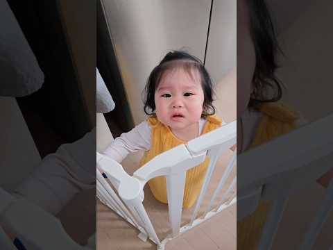 식전과 식후의 차이인가#shorts #육아일기 #육아브이로그 #baby #11개월아기 #도담지안