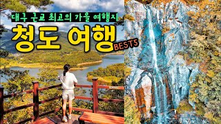 대구 근교 가을 여행지🍁 청도 여행 코스 가볼만한곳 (공암풍벽, 운문사, 대비사, 신지생태공원, 낙대폭포)