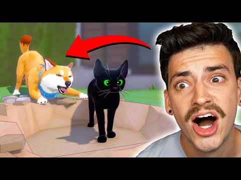 CUTE CAT VS SCARY DOG! (Little Kitty Big City)