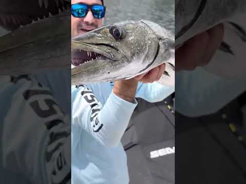 🤯Giant Sea Monster Caught using tons of chum!🎣