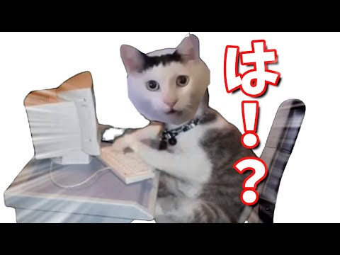 解釈違いに悩む猫【猫ミーム】