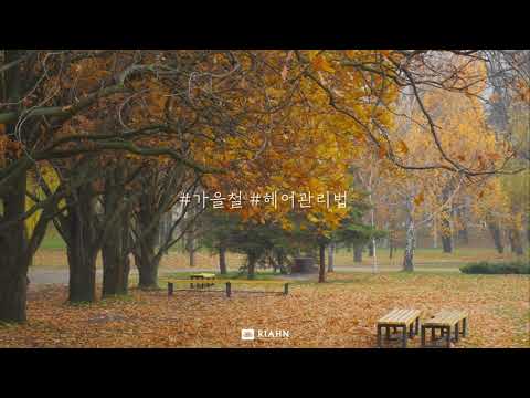 가을철 헤어관리법🍁