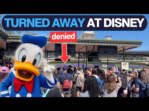 10 Reasons More People Than Ever Are Denied Entry to Disney World 🚫🏰