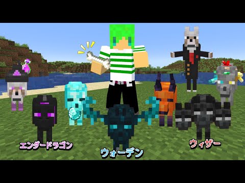 進化したオオカミを仲間にできる世界でサバイバル【マインクラフト】