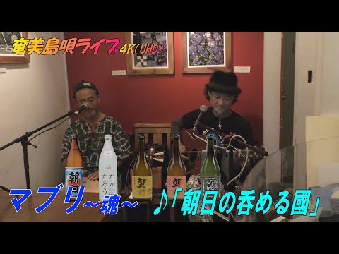 黒糖焼酎（喜界島の蔵）「♪朝日の呑める國」マブリ～魂～_結成24周年記念ライブ＠Bar希望