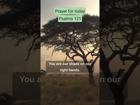 Prayers for protection  Use this daily reminder to keep you safe #shorts #shortvideo #gospel 💯🙌🙌🙌