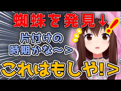 部屋に蜘蛛が現れてビビるそらちゃん