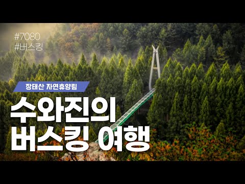 [수와진의 버스킹여행] #장태산자연휴양림 (24.11.8)