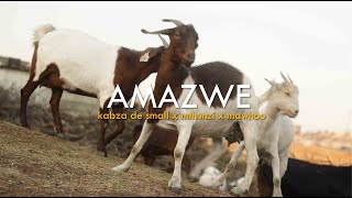 Kabza De Small & Mthunzi - Amazwe feat. MaWhoo (Official Music Video)