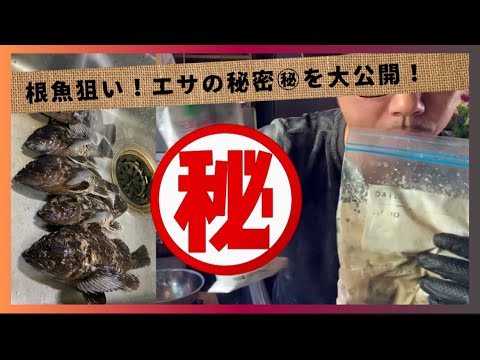 根魚狙い🎣3種類のエサを大公開！