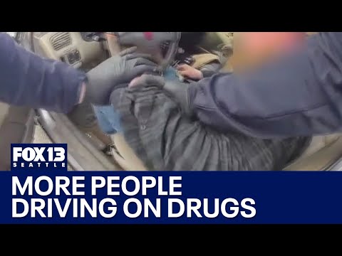 WA deputies target people driving on drugs | FOX 13 Seattle