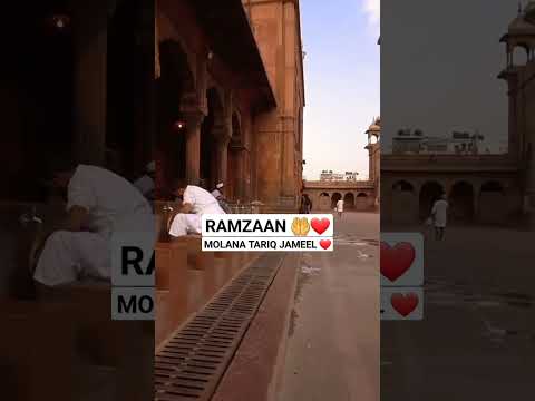 Molana Tariq Jameel Sahab Bayaan ❤️ | Islamic Whatsapp Status #shorts #viral #islam #islamic