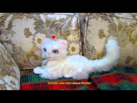 Persian Talking Cat Barbie Serafnia - Cute Talking Kitty Cat - Testing the toy